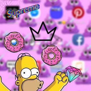 Meet your Posher, Brady